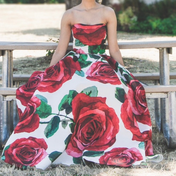 Prom Dress - Picture 3 of 5